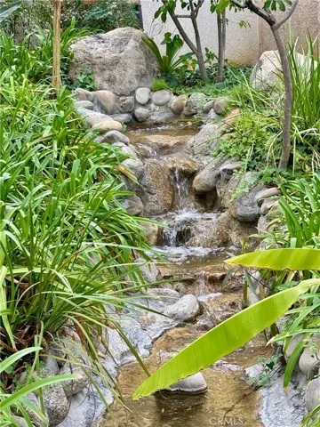 Court Yard streams