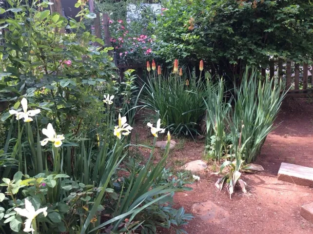 The grounds in front