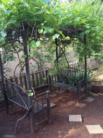 Trellis with benches and grape vines in the yard
