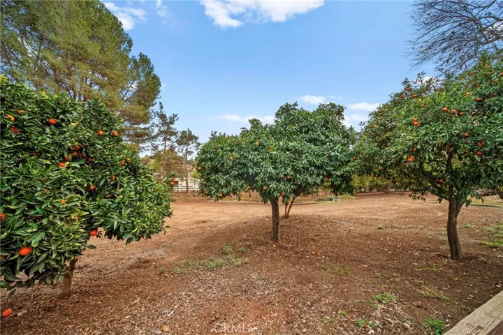 3644 Palomar Drive, Fallbrook, California 92028
