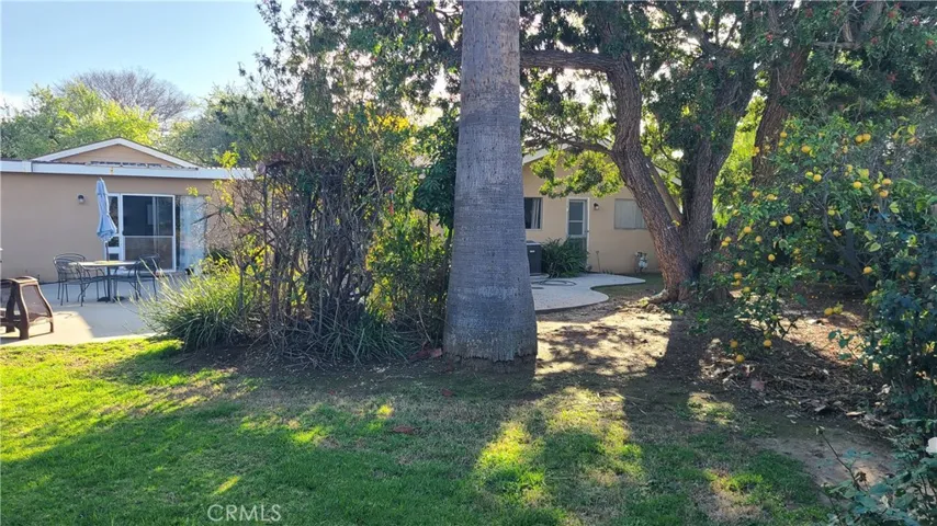 View standing under the fig tree at the property line. Producing lemon tree to the right
