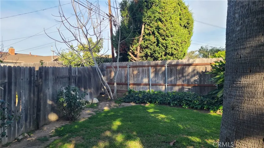Furthest north corner of the property features a mature fruit-bearing fig tree (dormant in winter)