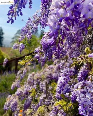 1516 Grizzly Peak Blvd, Berkeley, California 94708