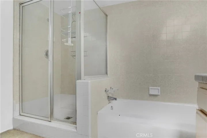 Primary Bathroom Shower