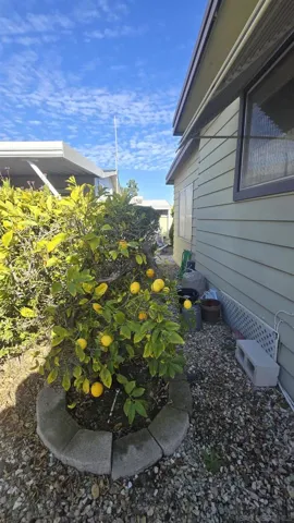 3438 Don Alberto Dr, Carlsbad, California 92010