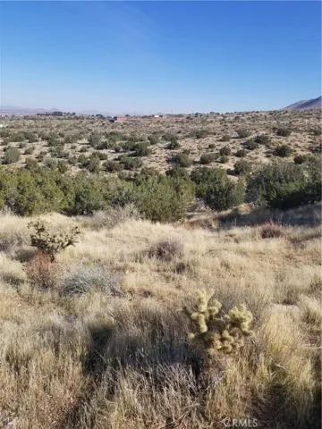 View north from South side of lot