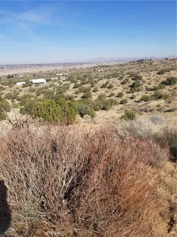 View from SWC north