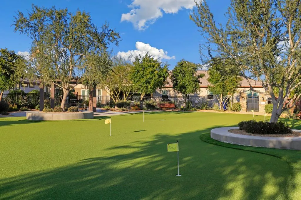 51673 Harmony Court, Indio, California 92201 home-pic-72