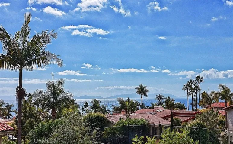 Ocean and Catalina View