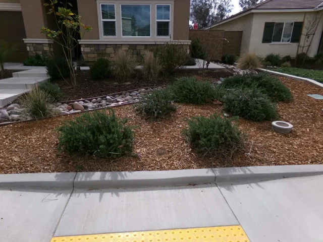 31169 Linden Flower, Winchester, California 92596
