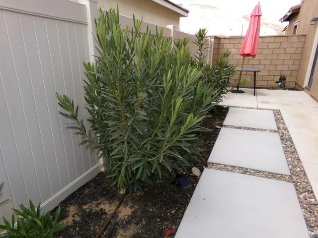 31169 Linden Flower, Winchester, California 92596