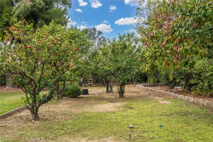 29686 Santa Ana Canyon Road, Highland, California 92346
