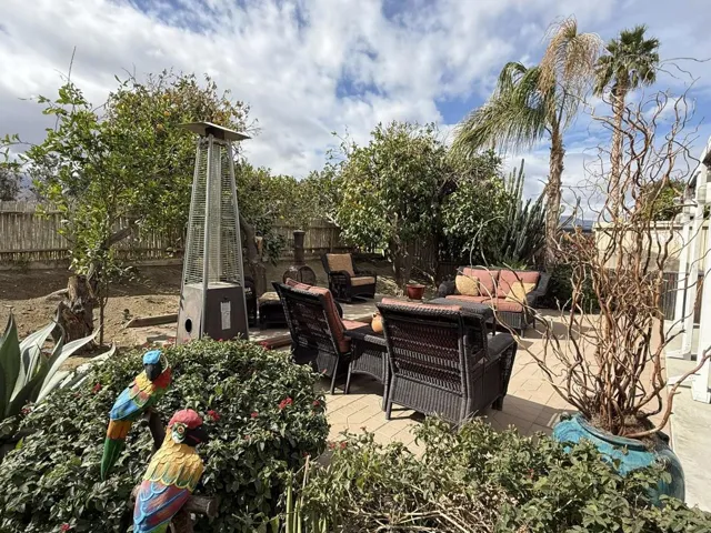 Backyard