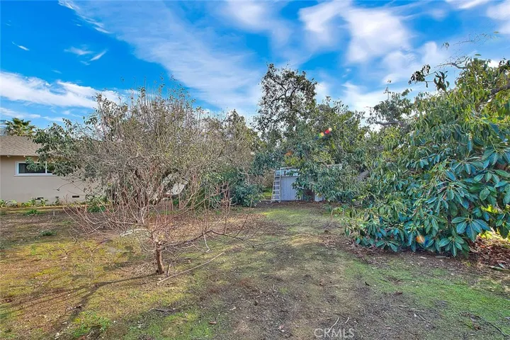 Large variety of fruit trees and avocado trees