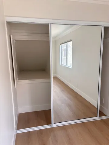 Storage cabinet in closet