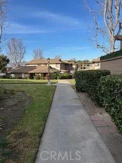 View from Front