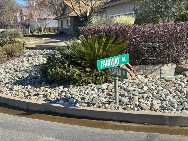 Cameron Airpark unique Street signs
