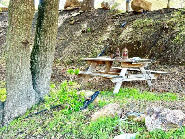 picnic