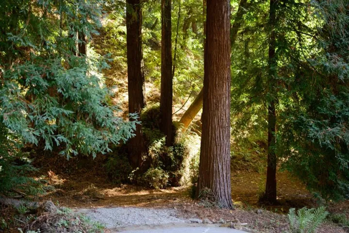 110 Shadow, Watsonville, California 95076