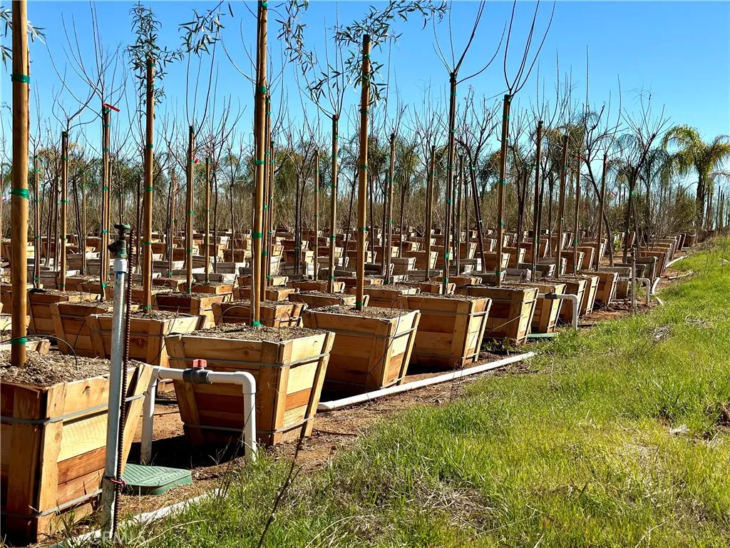 21290 Ellis Avenue, Perris, California 92570 home-pic-22