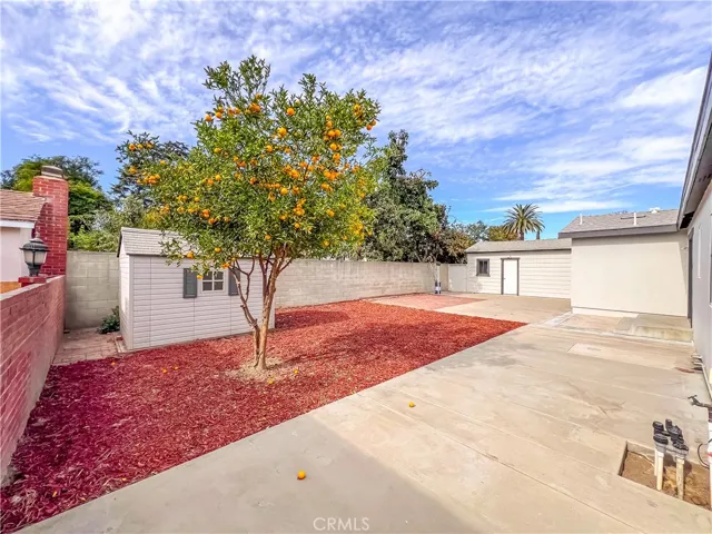 Backyard with Lemon tree
