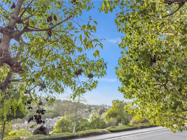 924 S Country Glen Way, Anaheim Hills, California 92808