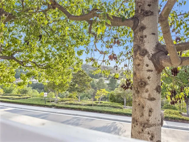924 S Country Glen Way, Anaheim Hills, California 92808