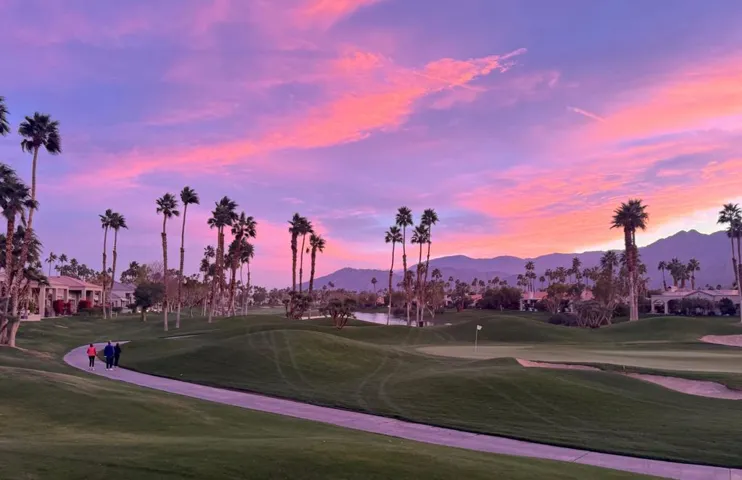 Purple Sky oakhill ph