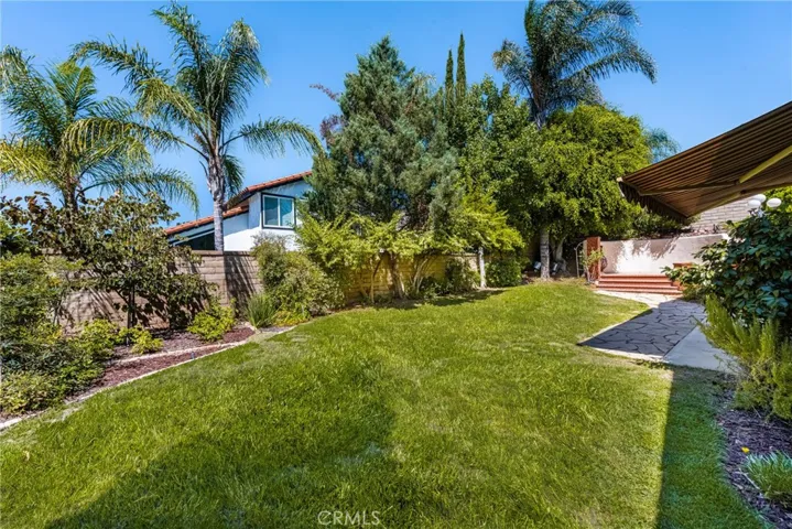 View of the back yard