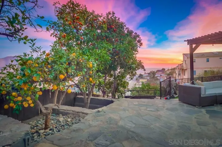 1635 Cuyamaca Ave, Spring Valley, California 91977