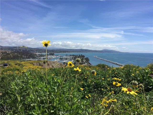 34144 Selva Road 205, Dana Point, California 92629