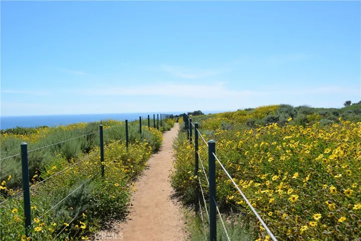 34144 Selva Road 205, Dana Point, California 92629