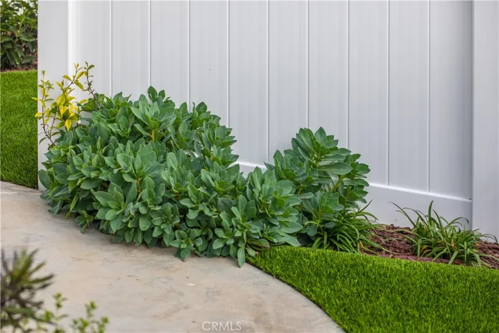 33751 Copper Lantern Street A, Dana Point, California 92629