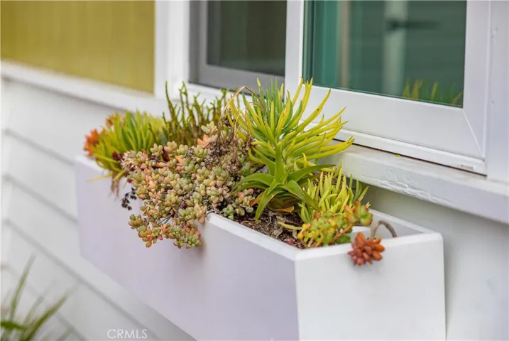 33751 Copper Lantern Street A, Dana Point, California 92629
