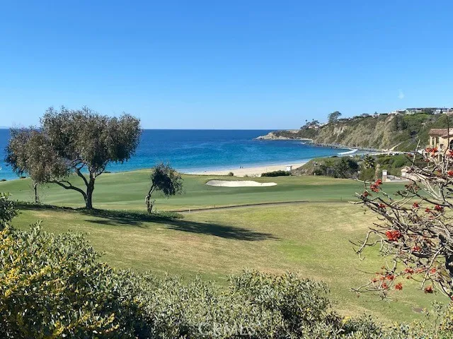 33751 Copper Lantern Street A, Dana Point, California 92629