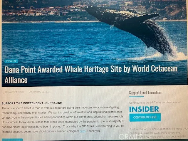 Whale Capital of the WORLD!