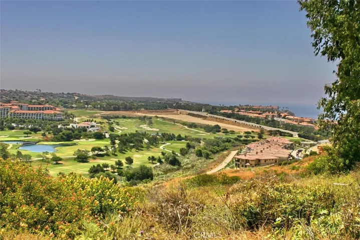 33751 Copper Lantern Street A, Dana Point, California 92629