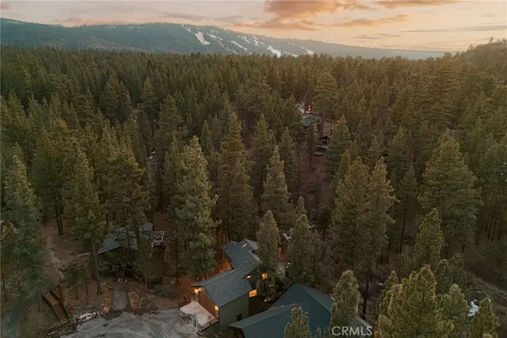 1021 W London Lane, Big Bear City, California 92314