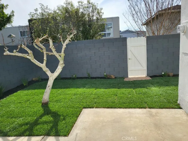 Back Yard View with Sunlight
