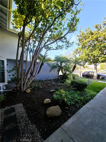 Greenscape in Front Yard