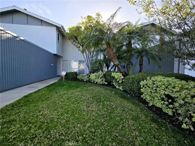 Front Yard