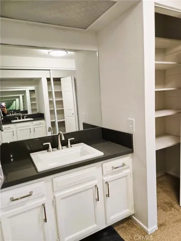 Master Bathroom Sink