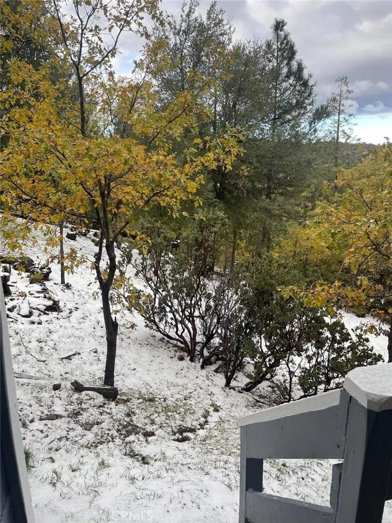 1446 Sequoia, Lake Arrowhead, California 92352 home-pic-10