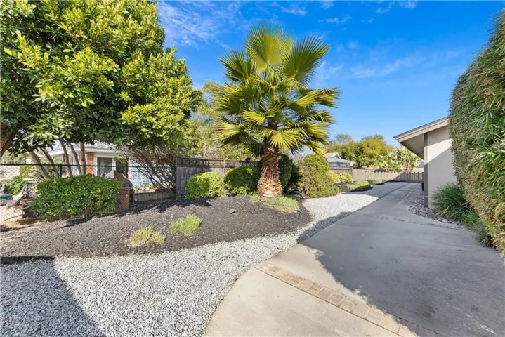 Front yard