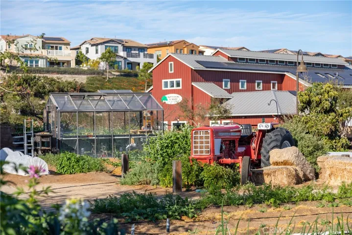 The Farm