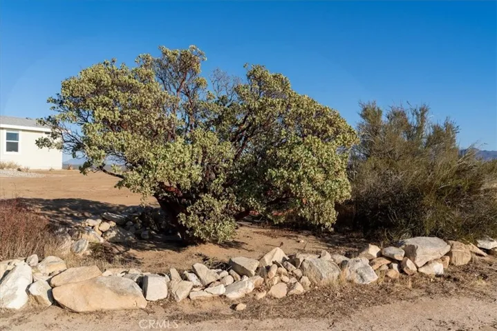 49022 Shetland Lane, Aguanga, California 92536