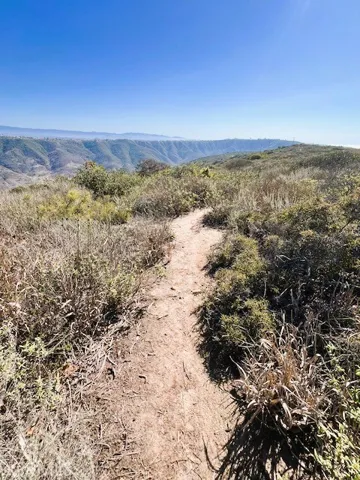 Multiple walking trails
