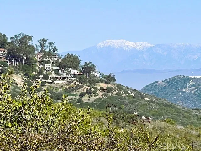 View from the park.
