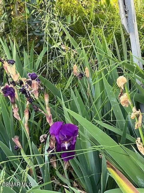 2675 Lembert Street, Simi Valley, California 93065 home-pic-32