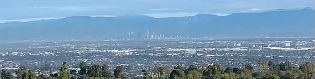 Panoramic View